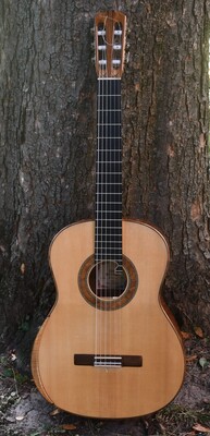 Konzertgitarre Paul Sheridan 2016