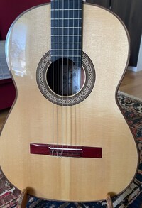 Konzertgitarre Michael & Alec O'Leary 2021