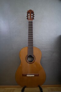 Alexandru Marian 2014 Meistergitarre