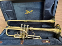Eb-/D-Trompete Bach Artisan – neuwertig